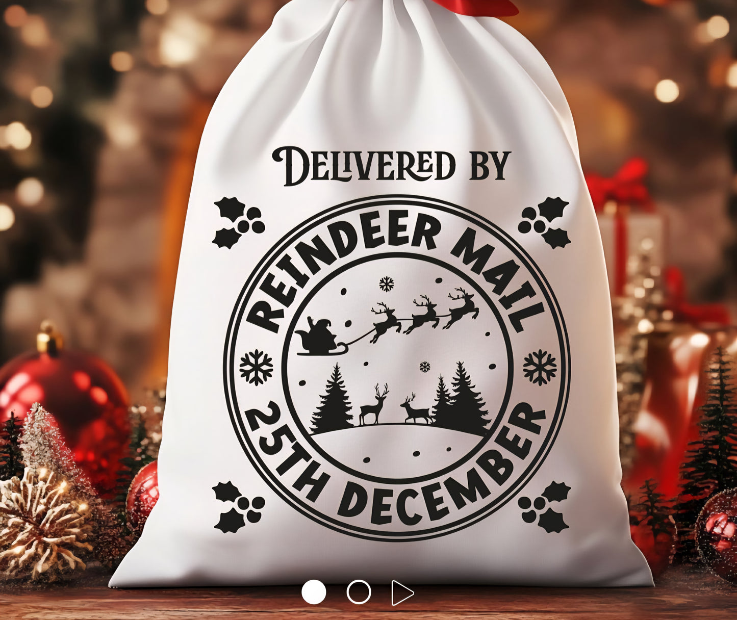 Santa/Easter Bunny Bags