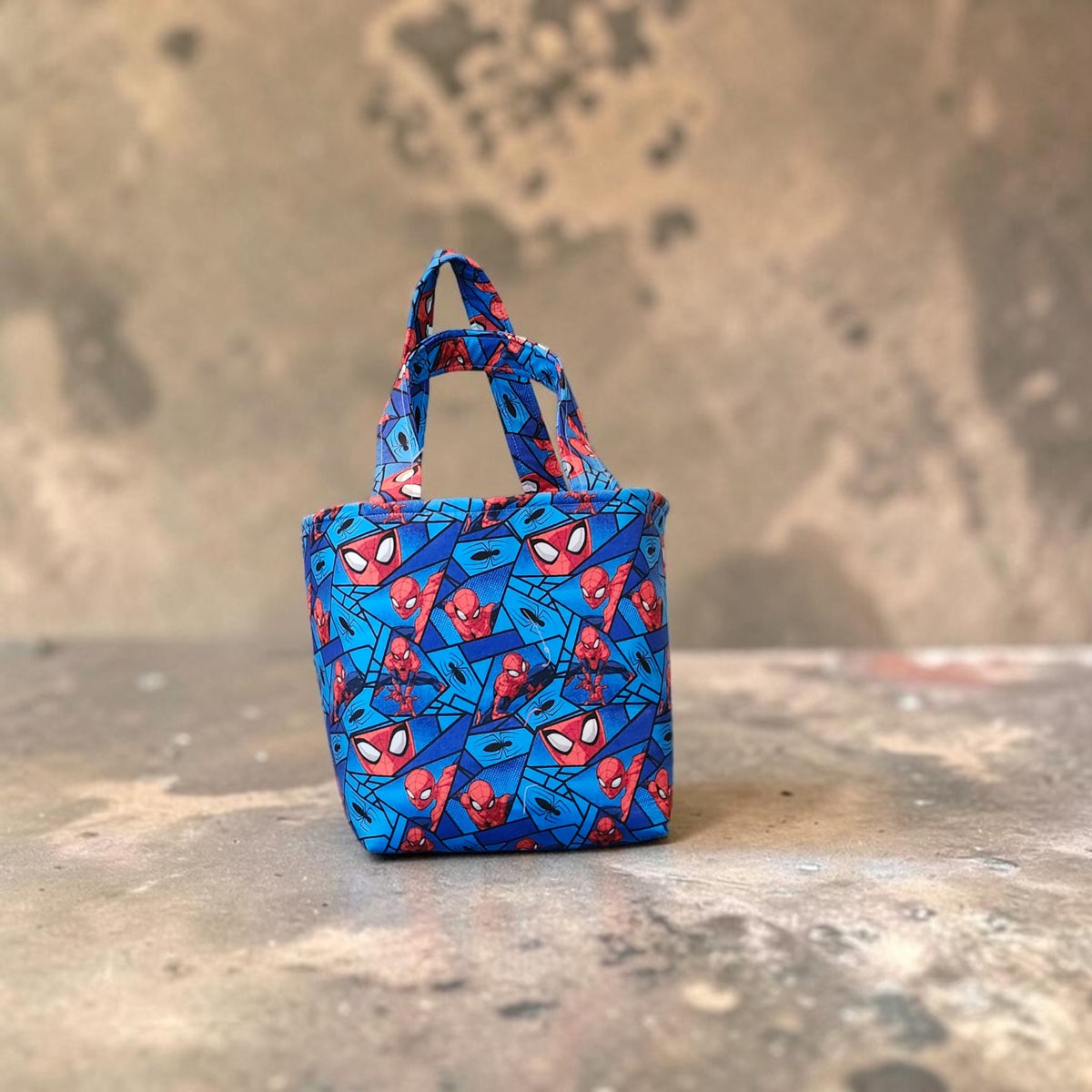 Fabric Tote Bag | Reusable Everyday Tote | Kids Tote Bag | Lunch Bag | Small Overnight Bag